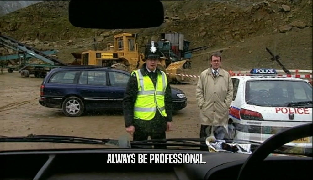 ALWAYS BE PROFESSIONAL.  