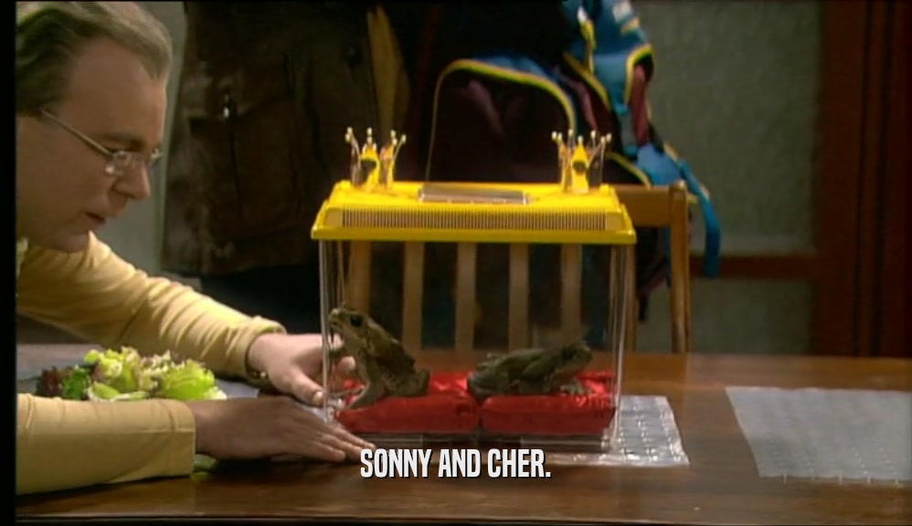 SONNY AND CHER.  