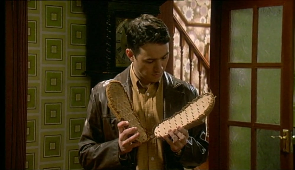 WE USE THEM ON WEDNESDAYS. THEY RESTORE THE WEFT OF THE CARPETS. 