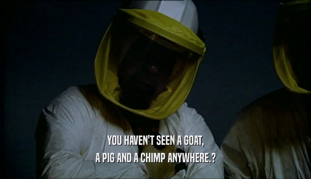 YOU HAVEN'T SEEN A GOAT, A PIG AND A CHIMP ANYWHERE.? 