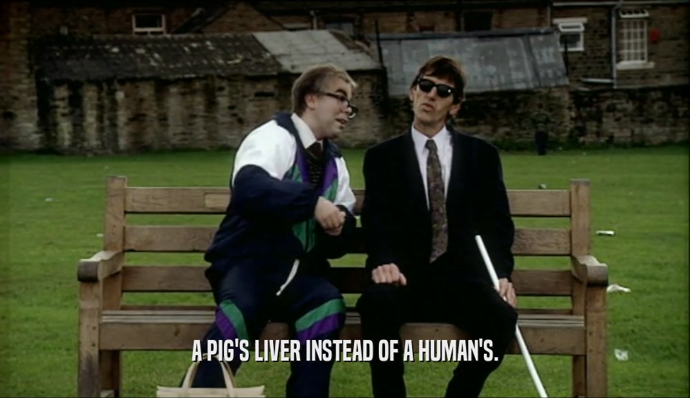 A PIG'S LIVER INSTEAD OF A HUMAN'S.  