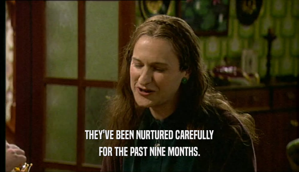 THEY'VE BEEN NURTURED CAREFULLY FOR THE PAST NINE MONTHS. 