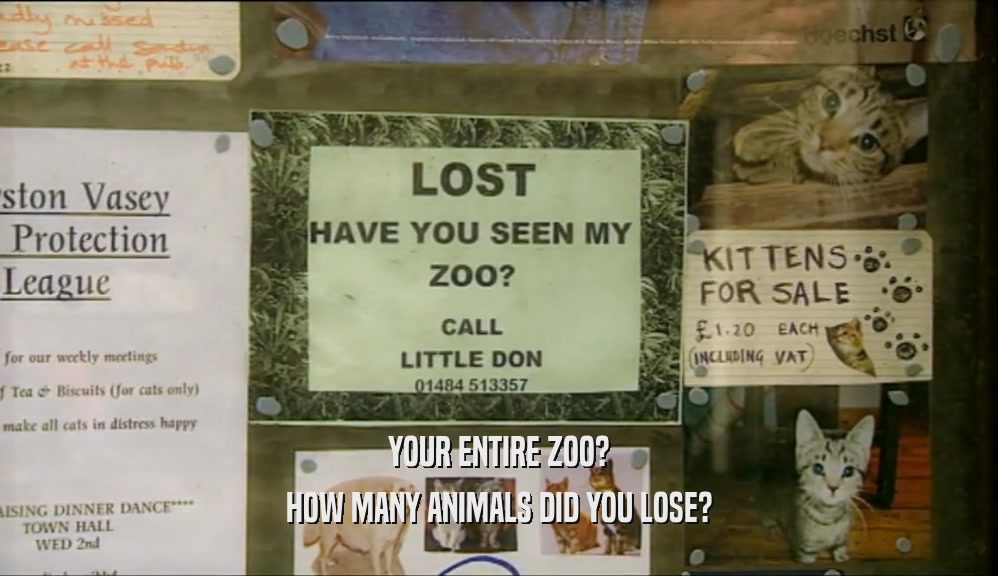 YOUR ENTIRE ZOO? HOW MANY ANIMALS DID YOU LOSE? 