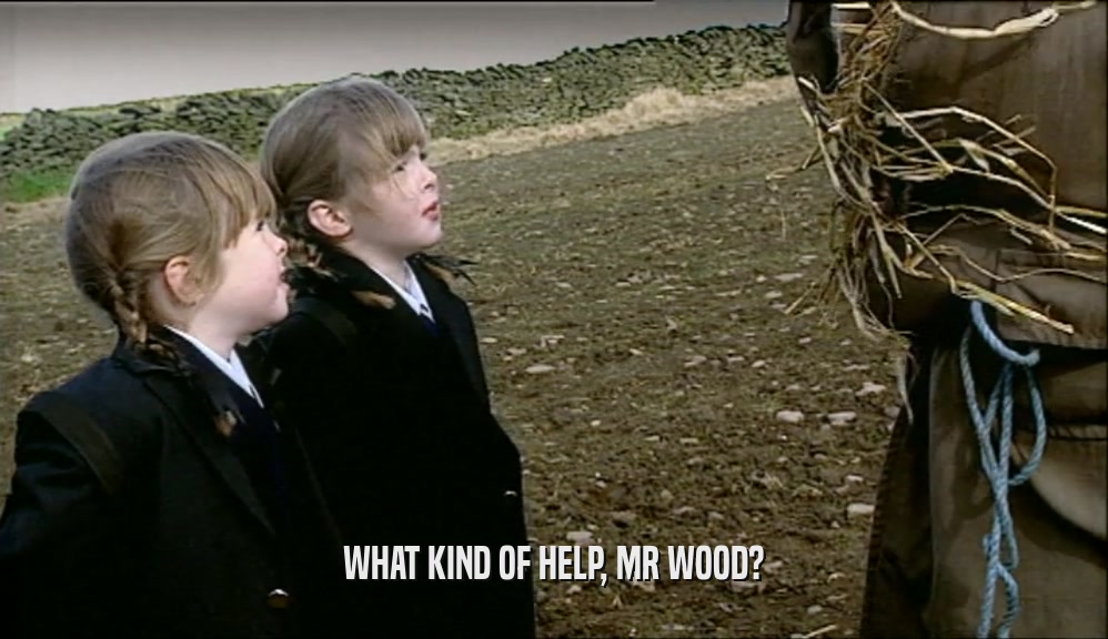 WHAT KIND OF HELP, MR WOOD?  