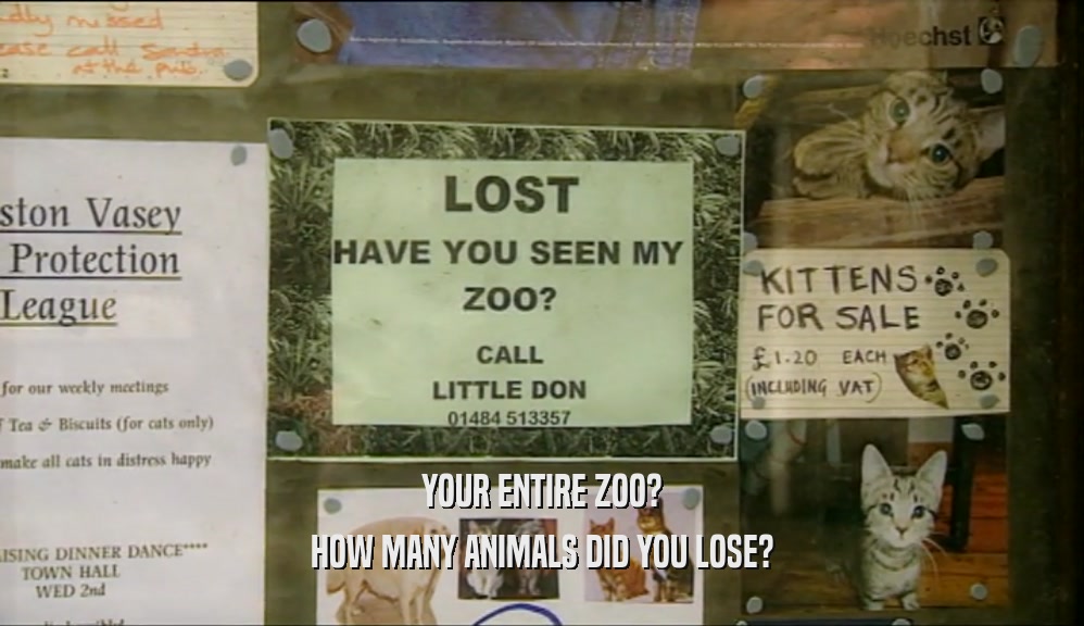 YOUR ENTIRE ZOO? HOW MANY ANIMALS DID YOU LOSE? 