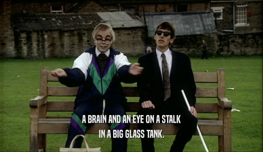 A BRAIN AND AN EYE ON A STALK IN A BIG GLASS TANK. 