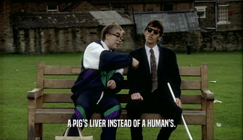 A PIG'S LIVER INSTEAD OF A HUMAN'S.  