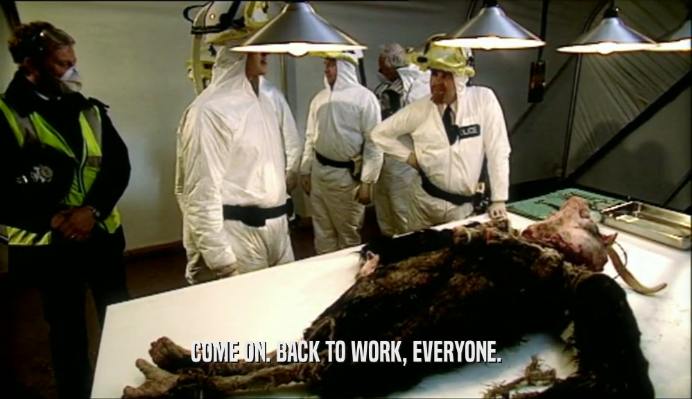 COME ON. BACK TO WORK, EVERYONE.  