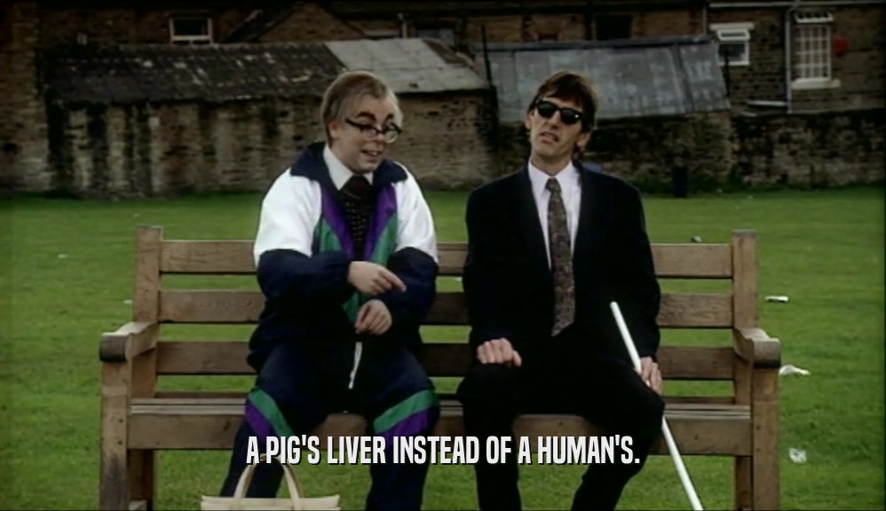 A PIG'S LIVER INSTEAD OF A HUMAN'S.  