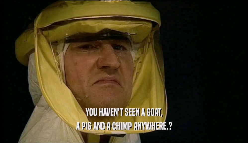 YOU HAVEN'T SEEN A GOAT, A PIG AND A CHIMP ANYWHERE.? 