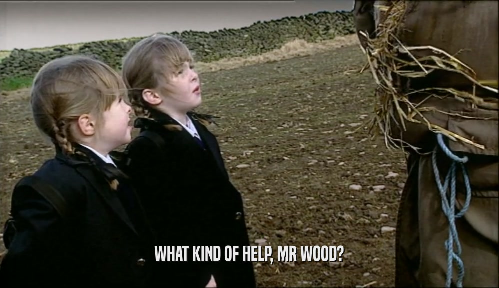WHAT KIND OF HELP, MR WOOD?  