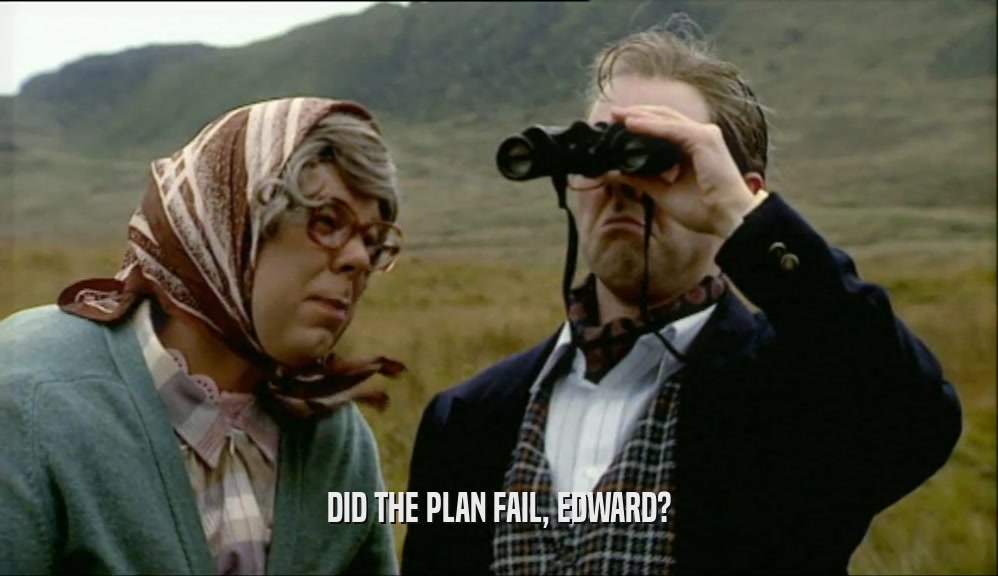 DID THE PLAN FAIL, EDWARD?  