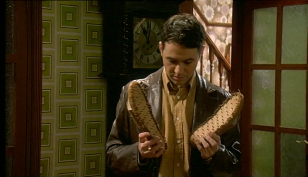 WE USE THEM ON WEDNESDAYS. THEY RESTORE THE WEFT OF THE CARPETS. 