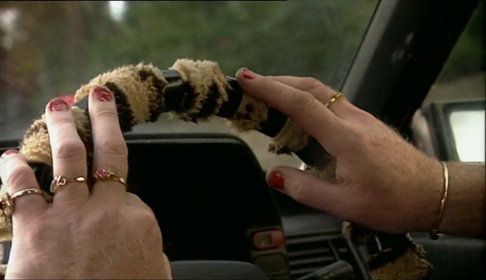 HAVE YOU NOT HEARD ABOUT THE BEAST OF ROYSTON VASEY? 