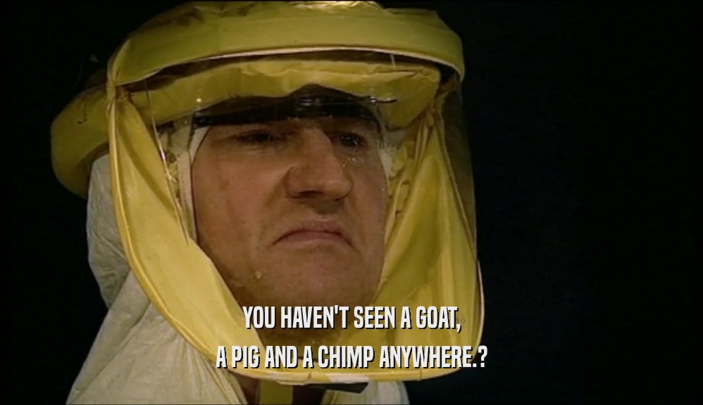 YOU HAVEN'T SEEN A GOAT, A PIG AND A CHIMP ANYWHERE.? 