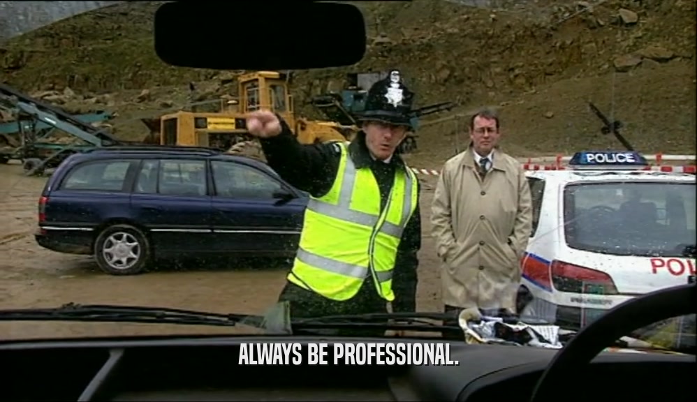 ALWAYS BE PROFESSIONAL.  