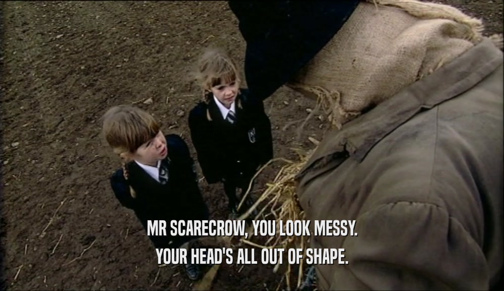 MR SCARECROW, YOU LOOK MESSY. YOUR HEAD'S ALL OUT OF SHAPE. 