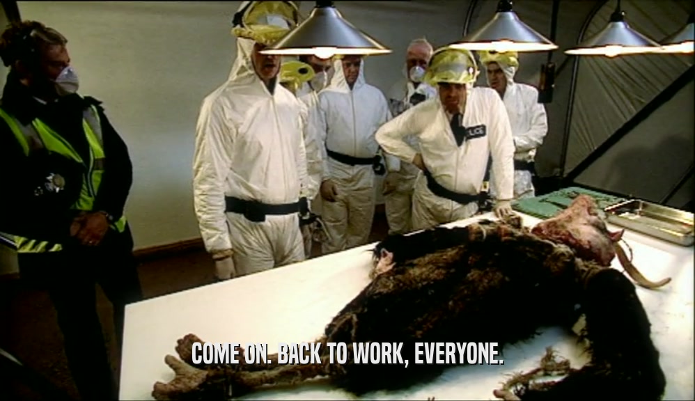 COME ON. BACK TO WORK, EVERYONE.  