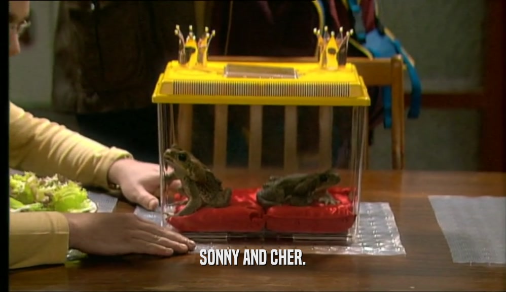 SONNY AND CHER.  