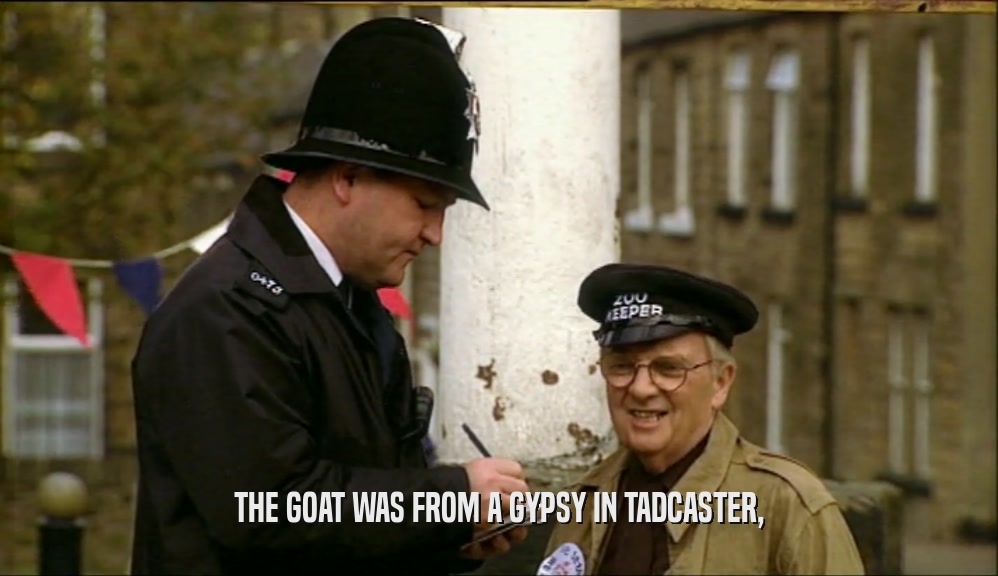THE GOAT WAS FROM A GYPSY IN TADCASTER,  
