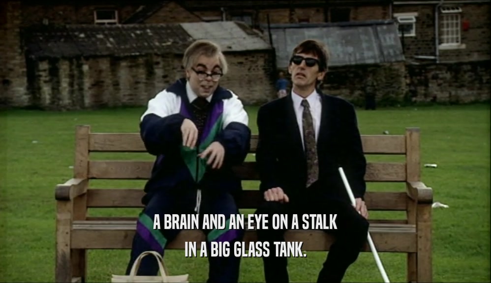 A BRAIN AND AN EYE ON A STALK IN A BIG GLASS TANK. 