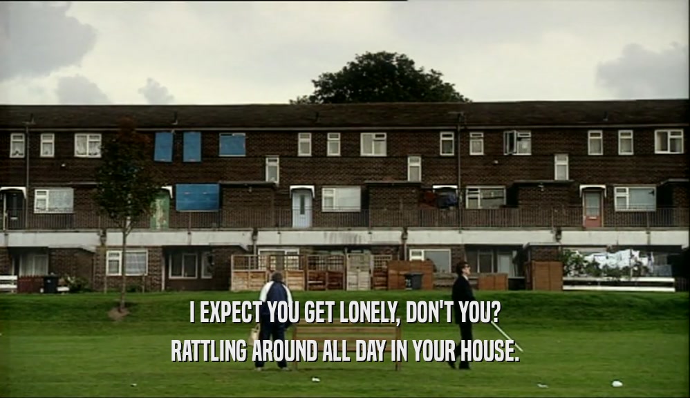 I EXPECT YOU GET LONELY, DON'T YOU? RATTLING AROUND ALL DAY IN YOUR HOUSE. 