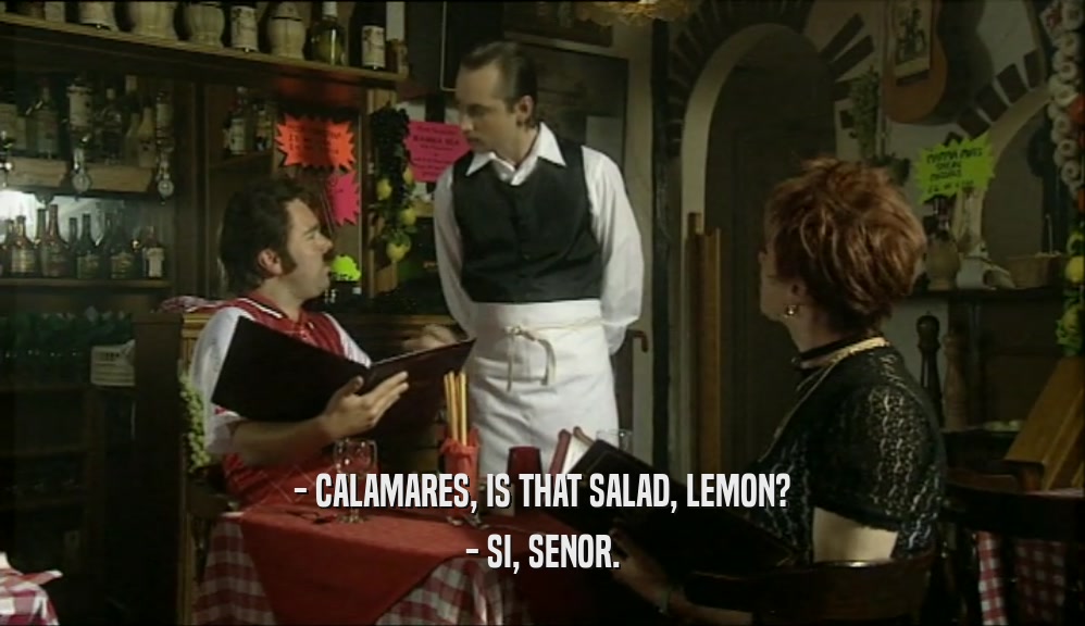 - CALAMARES, IS THAT SALAD, LEMON?
 - SI, SENOR.
 