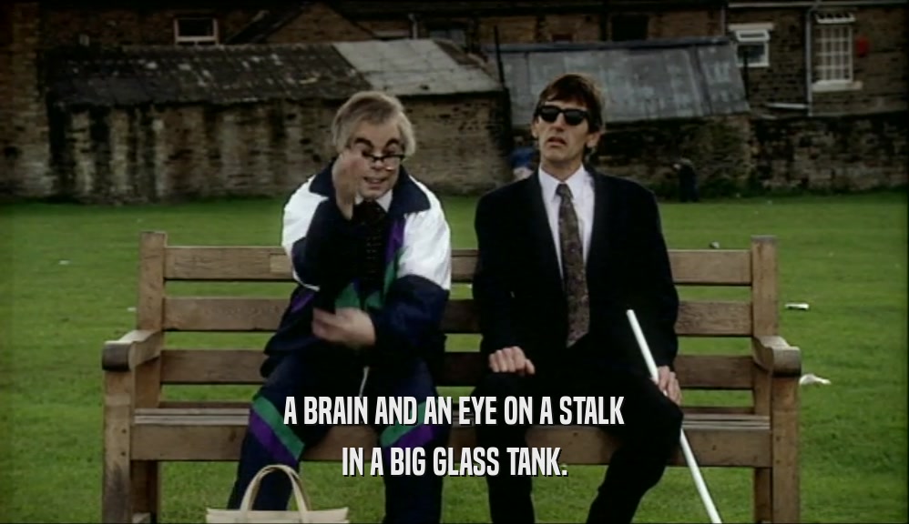 A BRAIN AND AN EYE ON A STALK IN A BIG GLASS TANK. 