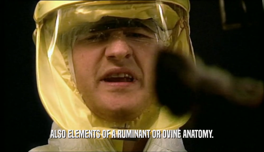 ALSO ELEMENTS OF A RUMINANT OR OVINE ANATOMY.  