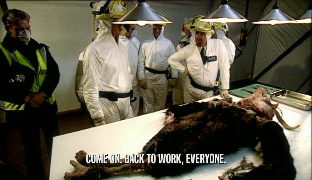 COME ON. BACK TO WORK, EVERYONE.  