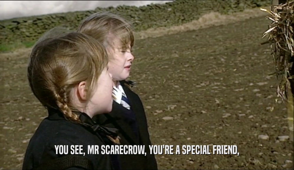YOU SEE, MR SCARECROW, YOU'RE A SPECIAL FRIEND,
  