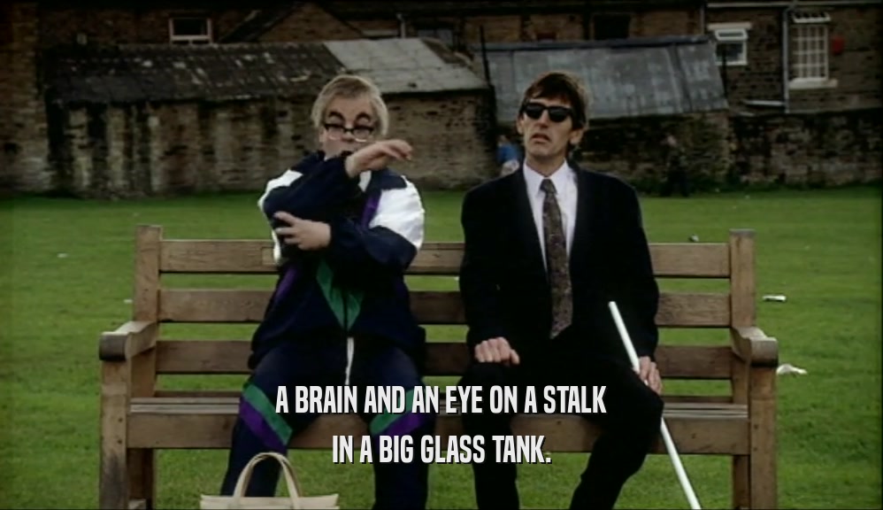 A BRAIN AND AN EYE ON A STALK IN A BIG GLASS TANK. 