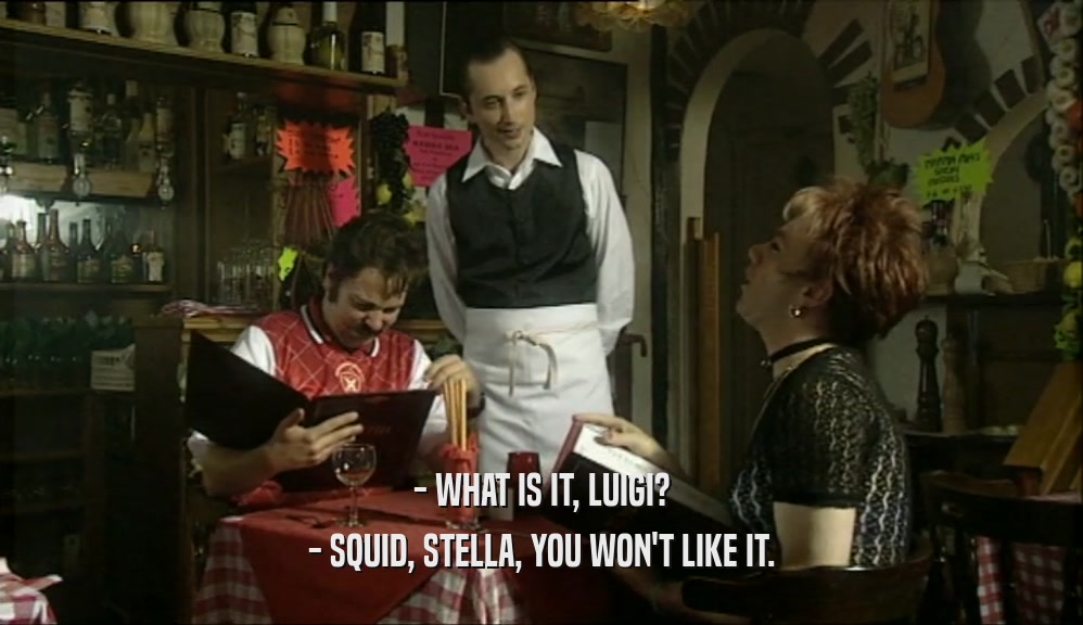 - WHAT IS IT, LUIGI?
 - SQUID, STELLA, YOU WON'T LIKE IT.
 