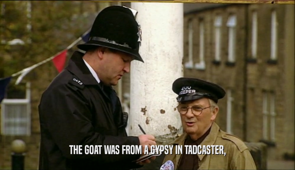 THE GOAT WAS FROM A GYPSY IN TADCASTER,  