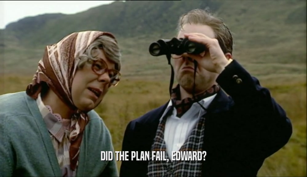 DID THE PLAN FAIL, EDWARD?  
