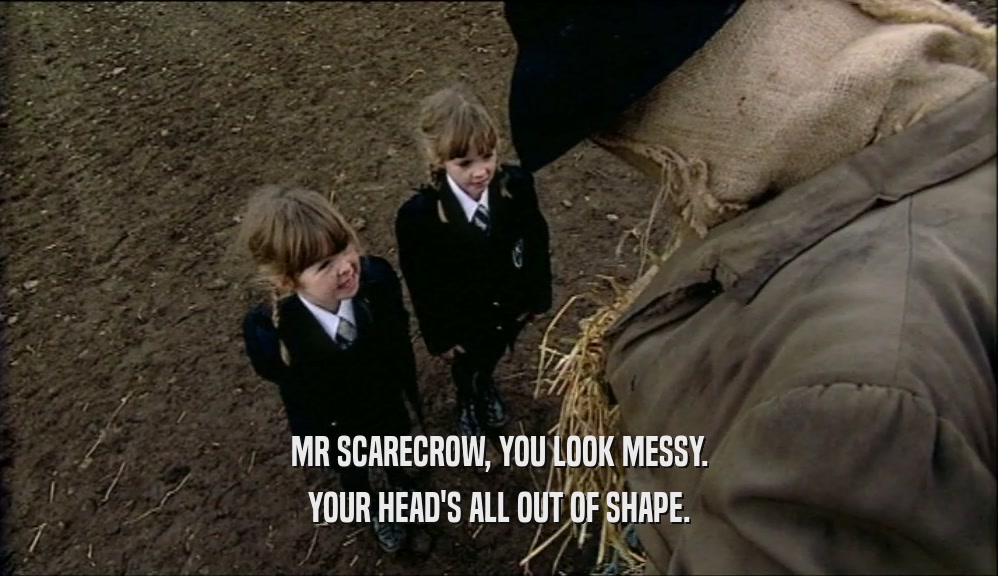 MR SCARECROW, YOU LOOK MESSY. YOUR HEAD'S ALL OUT OF SHAPE. 