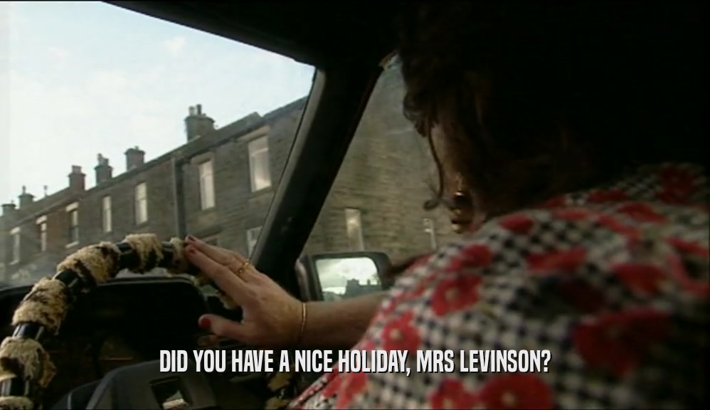 DID YOU HAVE A NICE HOLIDAY, MRS LEVINSON?  
