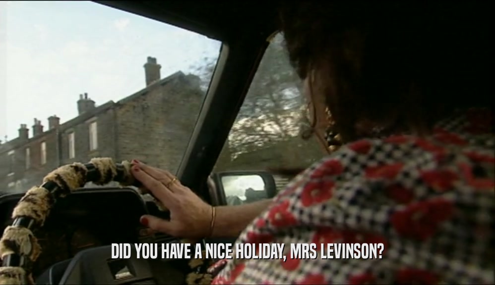 DID YOU HAVE A NICE HOLIDAY, MRS LEVINSON?  