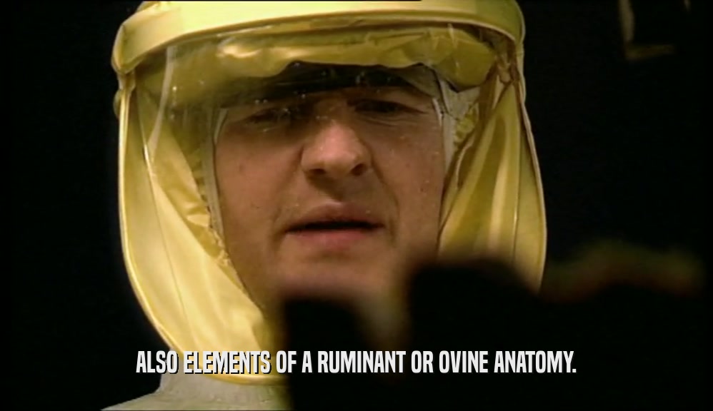ALSO ELEMENTS OF A RUMINANT OR OVINE ANATOMY.  