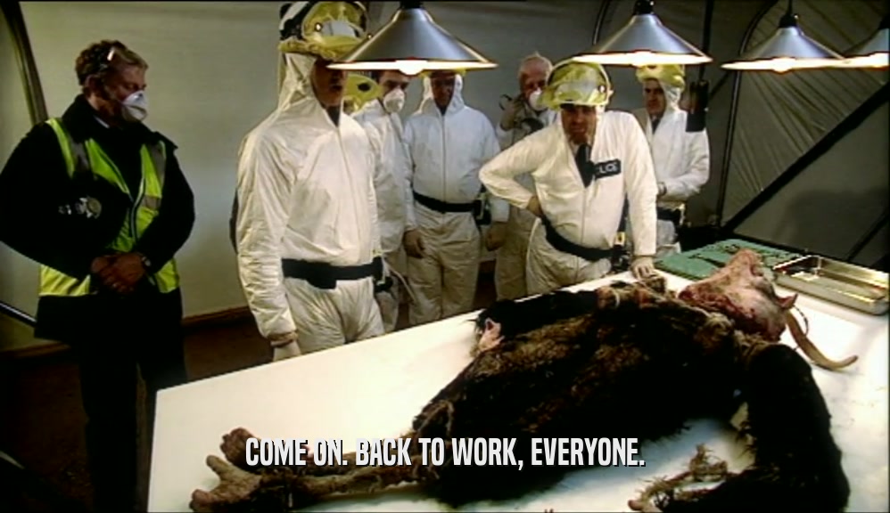 COME ON. BACK TO WORK, EVERYONE.  
