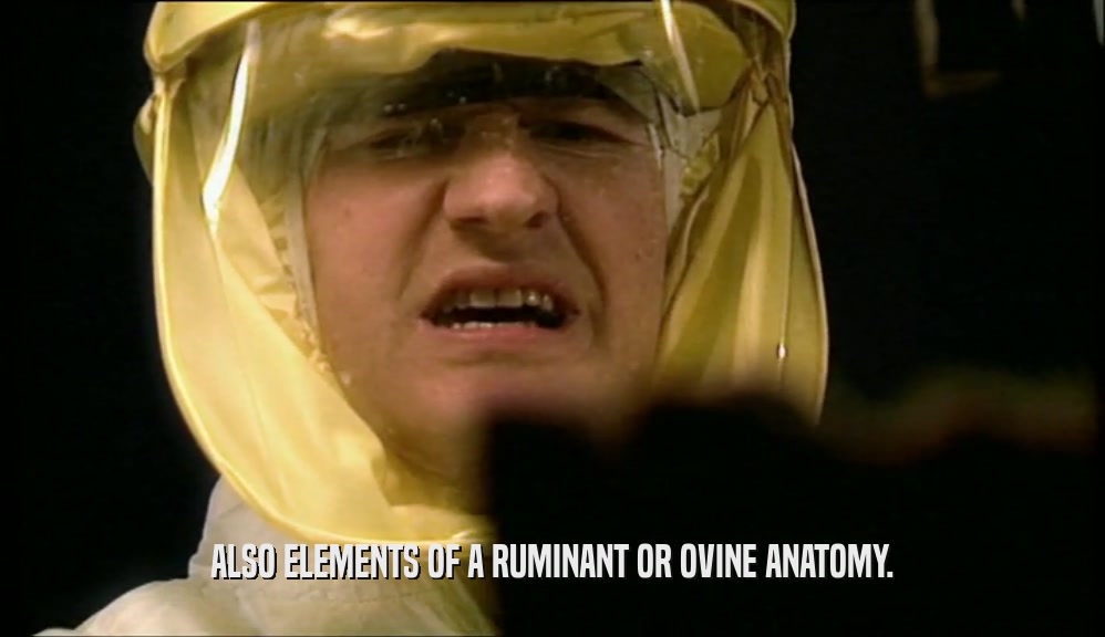 ALSO ELEMENTS OF A RUMINANT OR OVINE ANATOMY.  