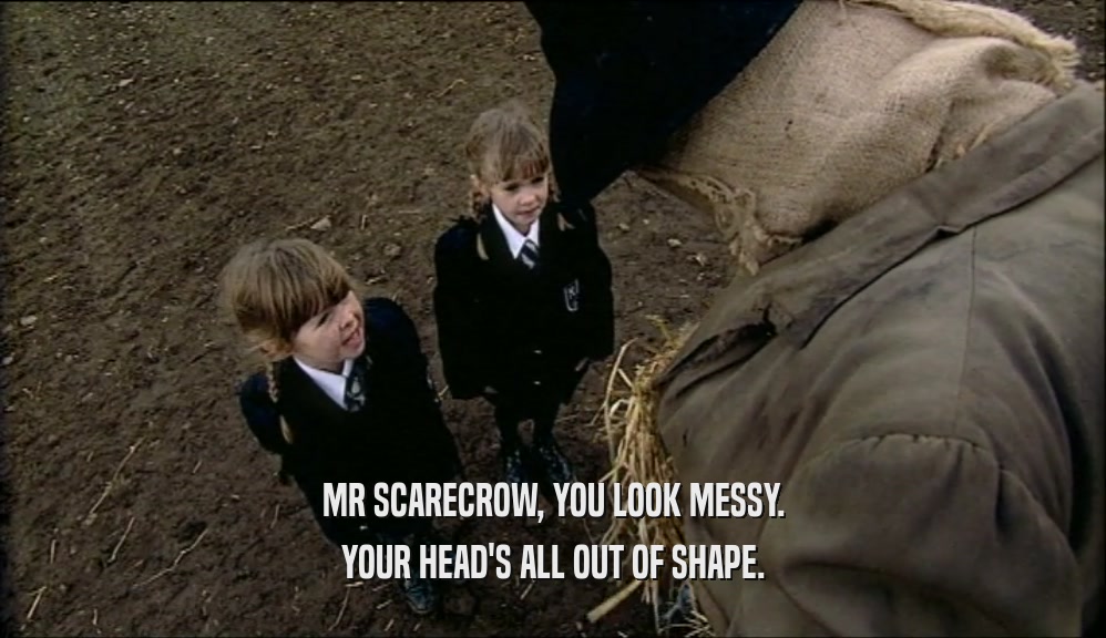 MR SCARECROW, YOU LOOK MESSY. YOUR HEAD'S ALL OUT OF SHAPE. 