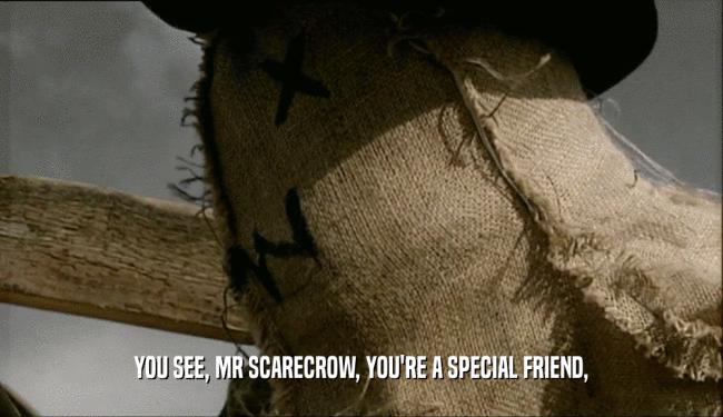 YOU SEE, MR SCARECROW, YOU'RE A SPECIAL FRIEND,
  
