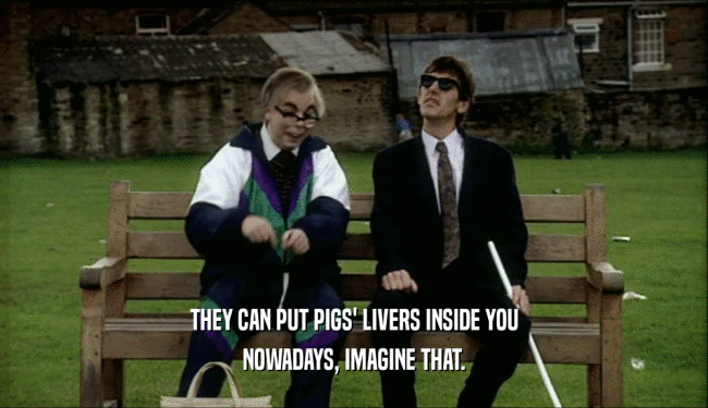 THEY CAN PUT PIGS' LIVERS INSIDE YOU NOWADAYS, IMAGINE THAT. 
