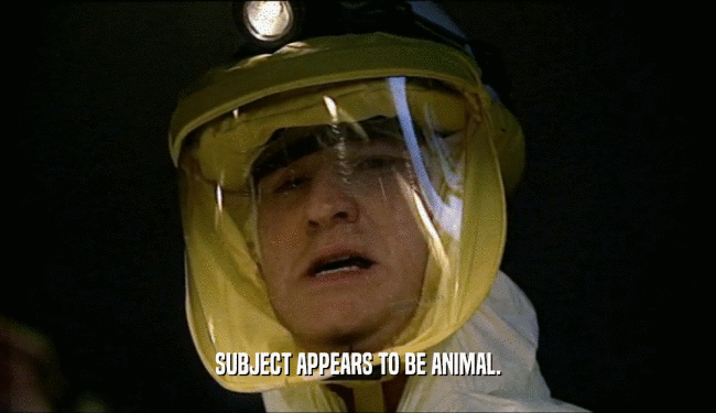 SUBJECT APPEARS TO BE ANIMAL.  