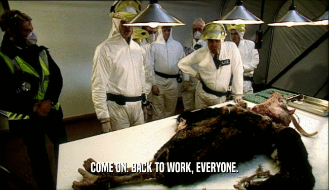 COME ON. BACK TO WORK, EVERYONE.  