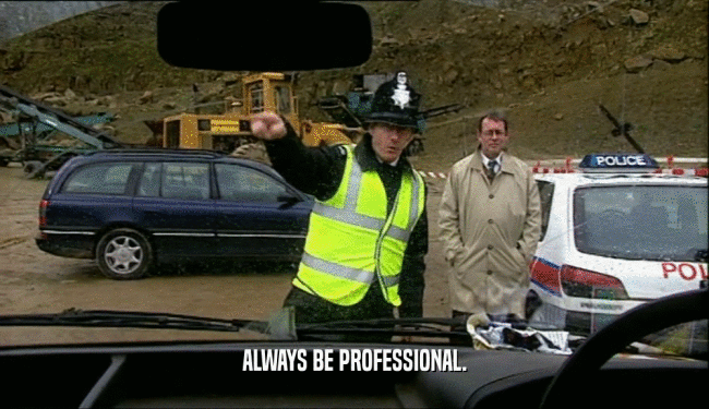ALWAYS BE PROFESSIONAL.  