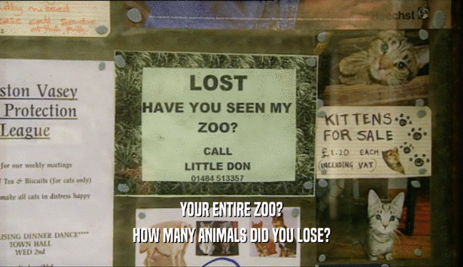 YOUR ENTIRE ZOO? HOW MANY ANIMALS DID YOU LOSE? 