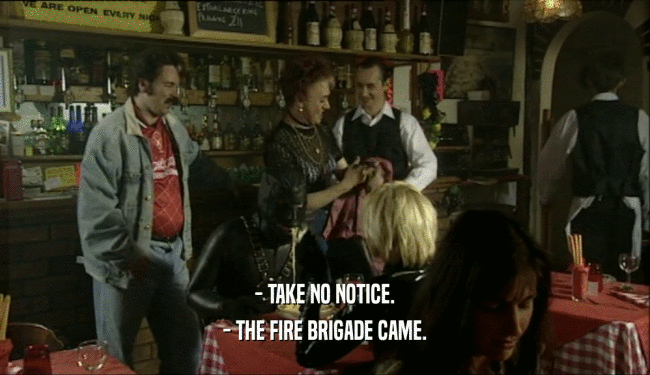 - TAKE NO NOTICE. - THE FIRE BRIGADE CAME. 
