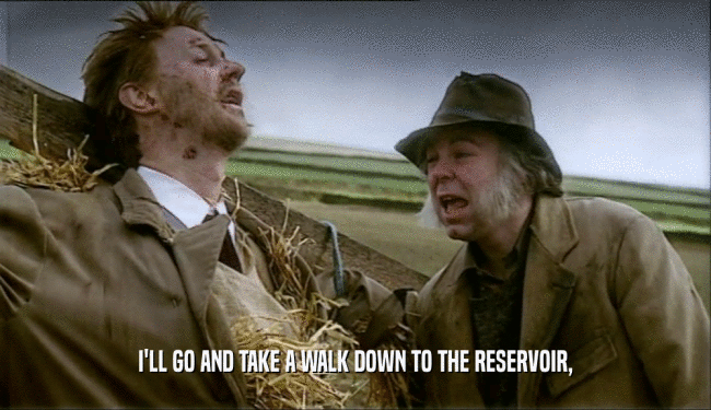I'LL GO AND TAKE A WALK DOWN TO THE RESERVOIR,  